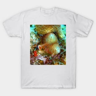 Christmas Tree Worm T-Shirt